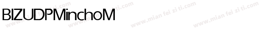 BIZ UDPMincho Medium字体转换